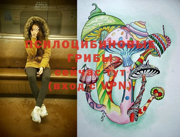 спайс Алексин