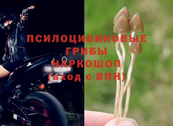 героин Алзамай