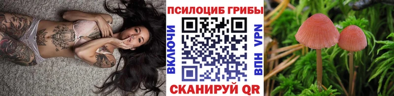 Галлюциногенные грибы Magic Shrooms  где купить наркоту  kraken tor  Приозерск 