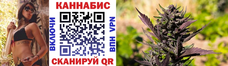 где продают наркотики Приозерск Бошки марихуана VHQ